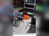 ফরিদগঞ্জের  মাদক দিয়ে ফাঁসাতে না পেরে বাড়ি ঘরে হামলা ও ভাংচুরের অভিযোগ
