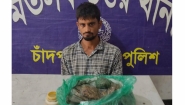 মতলব উত্তরের শাহবাজকান্দিতে মাদকসহ ফয়সাল আটক