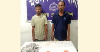 মতলব উত্তরে ১৫০ পিস ইয়াবাসহ গ্রেফতার দুই