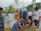 বাবুরহাট উচ্চ বিদ্যালয় ও কলেজে বৃক্ষরোপণ কর্মসূচি