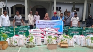 মতলব উত্তরে মাছের পোনা ও গাছের চারা বিতরণ