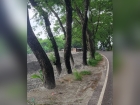 নিজগাছতলায় সরকারি জায়গা থেকে বালু সরিয়ে নিলেন জমির মালিকরা