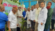 শাহরাস্তির সাহেব বাজার সবুজ সংঘের বৃক্ষরোপণ কর্মসূচির শুভ উদ্বোধন