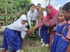 প্রাথমিক শিক্ষাপদক ২০২৬ উপলক্ষে বৃক্ষরোপণ কর্মসূচি উদ্বোধন