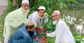 বৃক্ষরোপণের হিড়িক