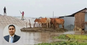 বন্যায় গবাদিপশুর সুরক্ষায় করণীয়