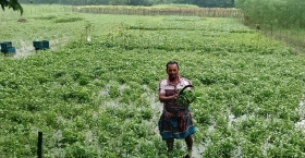 পরিশ্রম আর সততায় সফলতার গল্প কৃষক শফু মিজির