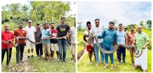 শ্রীমঙ্গল ও কমলগঞ্জের লোকালয় থেকে দুটি বিশাল আকৃতির অজগর উদ্ধার