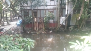 শ্রীনগরে জলাবদ্ধ পানি মাড়িয়ে চলাচল, পানিবাহিত রোগে ভুগছেন শিশু ও বয়োবৃদ্ধরা