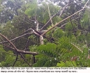 চাহিদার তুলনায় প্রাপ্তি অর্ধেক॥ লোডশেডিং বেড়েছে মাত্রাতিরিক্ত।।