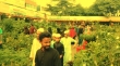 মেলা শেষ হবে ১৭ আগস্ট,  নার্সারি মালিকদের দাবি ২০ আগস্ট