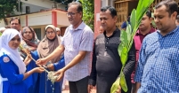 খেরুদিয়া দেলোয়ার হোসেন উচ্চ বিদ্যালয় ও কলেজের ছয় শতাধিক শিক্ষার্থীর মাঝে গাছের চারা বিতরণ
