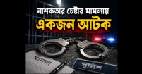 বাগাদী চৌরাস্তা থেকে নাশকতার চেষ্টার মামলায় একজন আটক