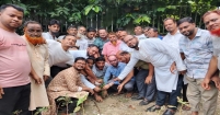 প্রতিষ্ঠাবার্ষিকী উপলক্ষে খাদেরগাঁও ইউনিয়ন বিএনপির বৃক্ষরোপণ কর্মসূচি পালন