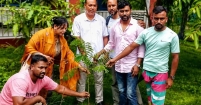 শ্রীনগরে বাঘড়া ইউনিয়ন বিএনপির বৃক্ষরোপণ কর্মসূচি উদ্বোধন