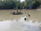 ফরিদগঞ্জে নিষেধাজ্ঞা অমান্য করে অবৈধ ড্রেজারে বালু উত্তোলন, ভাঙন ঝুঁকিতে বসতবাড়ি ও বাগান