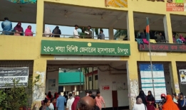 বিষয়টি উদ্বেগজনক! বিড়ালপ্রেমীরা সাবধান
