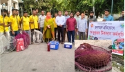 মতলব উত্তরে জলাতঙ্ক প্রতিরোধে পথকুকুরের টিকাদান শুরু