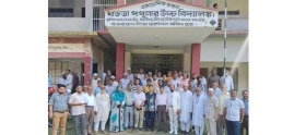 ধড্ডা পপুলার উচ্চ বিদ্যালয়ের প্লাটিনাম জয়ন্তীর রেজিস্ট্রেশন উদ্বোধন