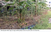 ব্যবসায়ীর সৃজনকৃত বাগানের গাছ কাটার অভিযোগ ইউনিয়ন ভূমি কর্মকর্তার বিরুদ্ধে