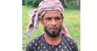 প্রতিকূলতার মধ্যেও মাঠ ছাড়েননি ফরিদগঞ্জের কৃষক আলী মিয়া