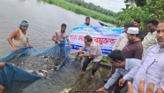 ফরিদগঞ্জে জলাশয়ে দেশীয় প্রজাতির পোনা মাছ অবমুক্ত