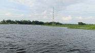প্রশাসনের তদারকির অভাব : ডাকাতিয়ায় অভিনব উপায়ে পোনা নিধন, বিলুপ্তির পথে দেশীয় মাছ