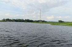 ইলিশ তো কমেছেই, দেশীয় মাছও হারিয়ে যাবে?