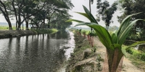 পরিবেশ রক্ষায় ইউএনও জামিউল হিকমার ব্যতিক্রমী উদ্যোগ