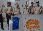 চাঁদপুরে ১ কোটি টাকার ইয়াবা উদ্ধার, ২ জনের বিরুদ্ধে মামলার প্রস্তুতি
