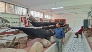 হিমালয় কন্যা পঞ্চগড় : প্রশান্তির নীড়
