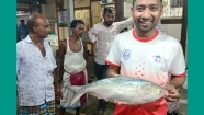 মেঘনায় ধরা পড়া এক ইলিশ ৬ হাজার ২৫০ টাকায় বিক্রি