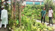 জমজমাট ফল, পুষ্টি ও বৃক্ষমেলা