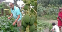 ব্যাংকার লায়ন গোলাম হোসেন টিটোর সবজি বাগান