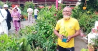 নার্সারির মালিকদের মুখে হাসি