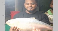 চাঁদপুর মাছঘাটে ২ কেজি ২০০ গ্রামের রাজা ইলিশ বিক্রি হলো ১২১০০ টাকায়