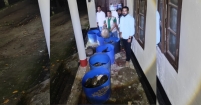 নোয়াখালীতে ৪২৫ কচ্ছপ উদ্ধার