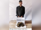 ফরিদগঞ্জে মাদকসহ যুবক আটক