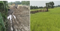 কচুয়ায় অবৈধ ড্রেজার ও ভেকুর অবিরাম দাপট
