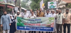 'সবুজে সেজেছে পশ্চিম হোসেনপুর আলিয়া মাদ্রাসা  : বর্ণাঢ্য আয়োজনে বৃক্ষরোপণ কর্মসূচি পালন