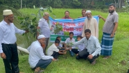 টামটা আদর্শ বিদ্যালয়ে  সেমিনার ও বৃক্ষরোপণ কর্মসূচি