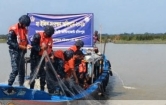 মা ইলিশ রক্ষায় মেঘনায়  নৌবাহিনীর বড় অভিযান