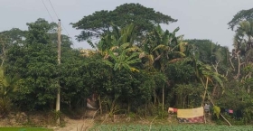 এখনও এমন গ্রাম থাকতে পারে!