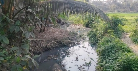 খাল খনন দ্রুত বাস্তবায়ন চায় কৃষকরা